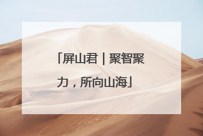 屏山君｜聚智聚力，所向山海