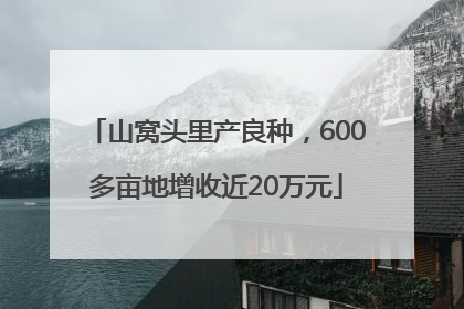 山窝头里产良种，600多亩地增收近20万元