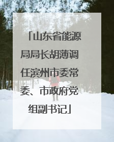 山东省能源局局长胡薄调任滨州市委常委、市政府党组副书记