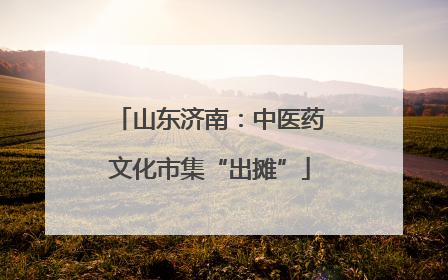 山东济南：中医药文化市集“出摊”