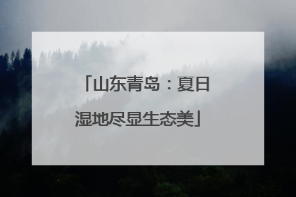 山东青岛：夏日湿地尽显生态美
