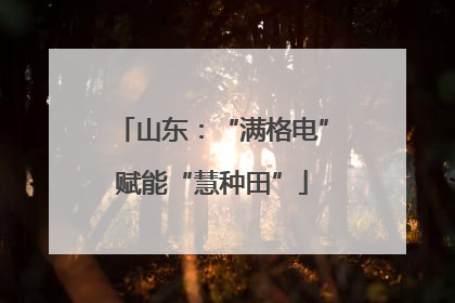 山东：“满格电”赋能“慧种田”