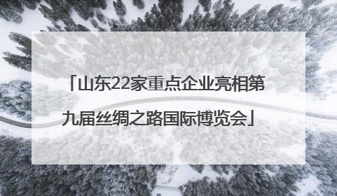 山东22家重点企业亮相第九届丝绸之路国际博览会