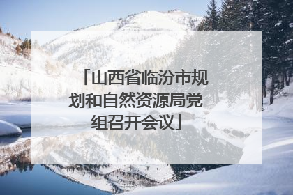 山西省临汾市规划和自然资源局党组召开会议