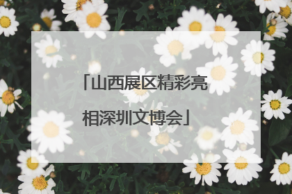山西展区精彩亮相深圳文博会