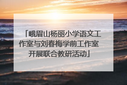 峨眉山杨丽小学语文工作室与刘春梅学前工作室开展联合教研活动