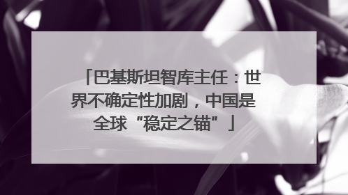 巴基斯坦智库主任：世界不确定性加剧，中国是全球“稳定之锚”