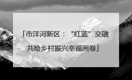 市洋河新区：“红蓝”交融 共绘乡村振兴幸福画卷