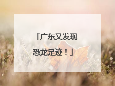 广东又发现恐龙足迹！