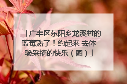 广丰区东阳乡龙溪村的蓝莓熟了！约起来 去体验采摘的快乐（图）