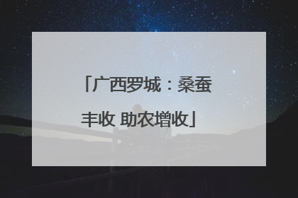 广西罗城：桑蚕丰收 助农增收