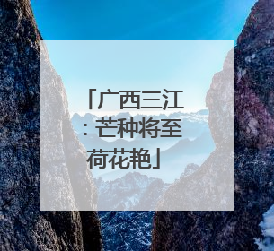 广西三江：芒种将至荷花艳