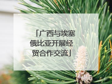 广西与埃塞俄比亚开展经贸合作交流