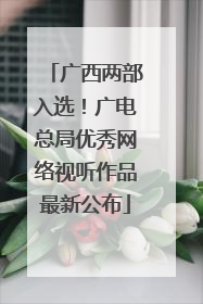 广西两部入选！广电总局优秀网络视听作品最新公布
