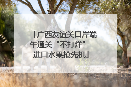 广西友谊关口岸端午通关“不打烊” 进口水果抢先机