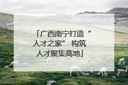 广西南宁打造“人才之家” 构筑人才聚集高地