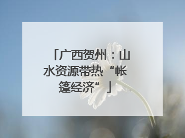 广西贺州：山水资源带热“帐篷经济”