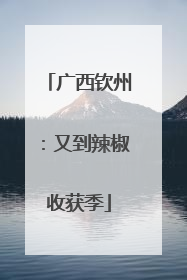 广西钦州：又到辣椒收获季