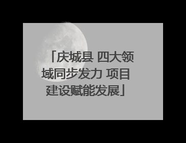 庆城县 四大领域同步发力 项目建设赋能发展