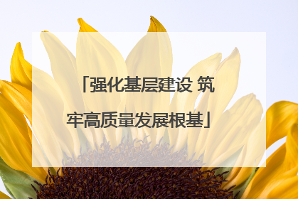 强化基层建设 筑牢高质量发展根基