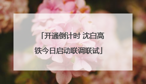 开通倒计时 沈白高铁今日启动联调联试