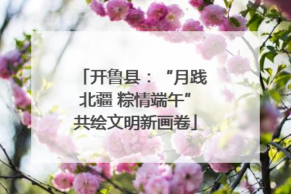 开鲁县：“月践北疆 粽情端午”共绘文明新画卷
