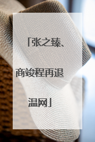张之臻、商竣程再退温网