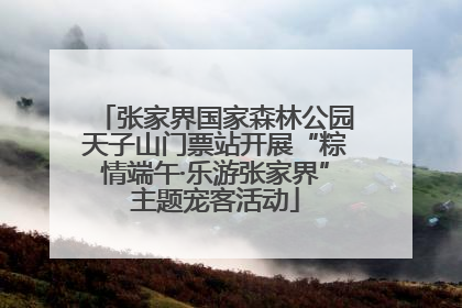张家界国家森林公园天子山门票站开展“粽情端午·乐游张家界”主题宠客活动