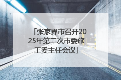 张家界市召开2025年第二次市委旅工委主任会议