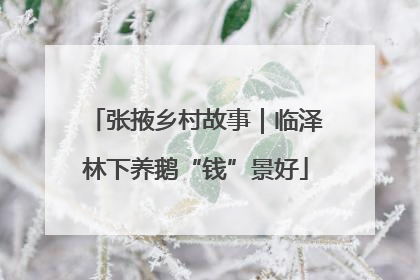 张掖乡村故事｜临泽林下养鹅“钱”景好