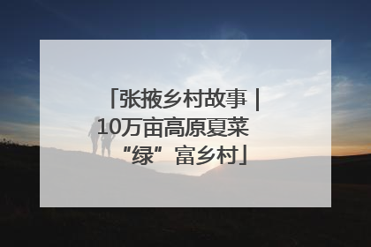张掖乡村故事｜10万亩高原夏菜“绿”富乡村