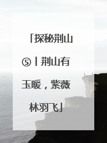 探秘荆山⑤丨荆山有玉暖，紫薇林羽飞