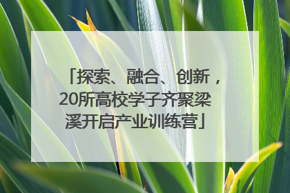 探索、融合、创新，20所高校学子齐聚梁溪开启产业训练营