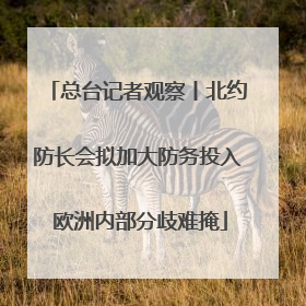 总台记者观察丨北约防长会拟加大防务投入 欧洲内部分歧难掩