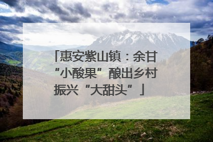 惠安紫山镇：余甘“小酸果”酿出乡村振兴“大甜头”