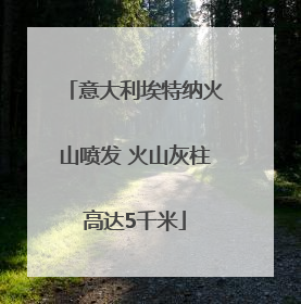 意大利埃特纳火山喷发 火山灰柱高达5千米