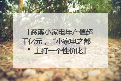 慈溪小家电年产值超千亿元，“小家电之都”主打一个性价比