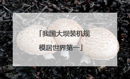 我国大坝装机规模居世界第一