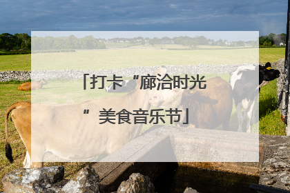 打卡“廊洽时光”美食音乐节