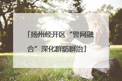 扬州经开区“警网融合”深化群防群治