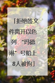 拒绝签文件离开以色列 “玛德琳”号船上8人被拘