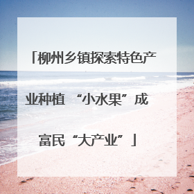 柳州乡镇探索特色产业种植 “小水果”成富民“大产业”