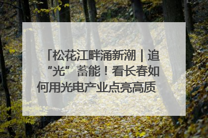 松花江畔涌新潮｜追“光”蓄能！看长春如何用光电产业点亮高质量发展新赛道