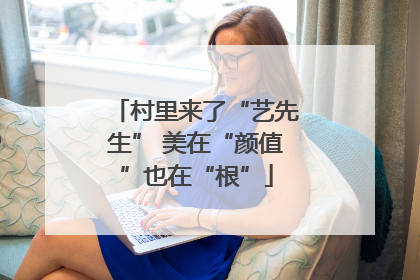 村里来了“艺先生” 美在“颜值”也在“根”