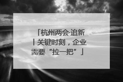 杭州两会·追新丨关键时刻，企业需要“拉一把”