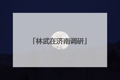 林武在济南调研
