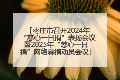 枣庄市召开2024年“慈心一日捐”表扬会议暨2025年“慈心一日捐”网络募捐动员会议