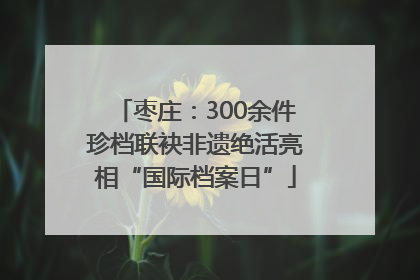 枣庄：300余件珍档联袂非遗绝活亮相“国际档案日”