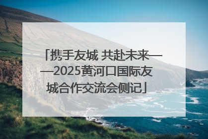 携手友城 共赴未来——2025黄河口国际友城合作交流会侧记