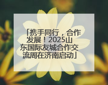 携手同行，合作发展！2025山东国际友城合作交流周在济南启动
